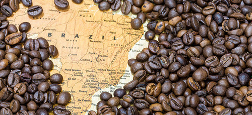 دان قهوه برزیل (عربیکا)
